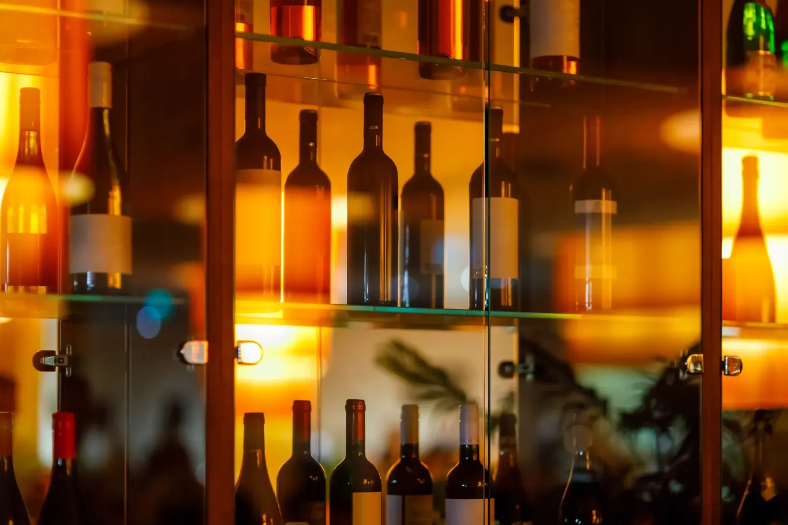 Wine cabinet with glass shelves and door and reflections. red and white wines