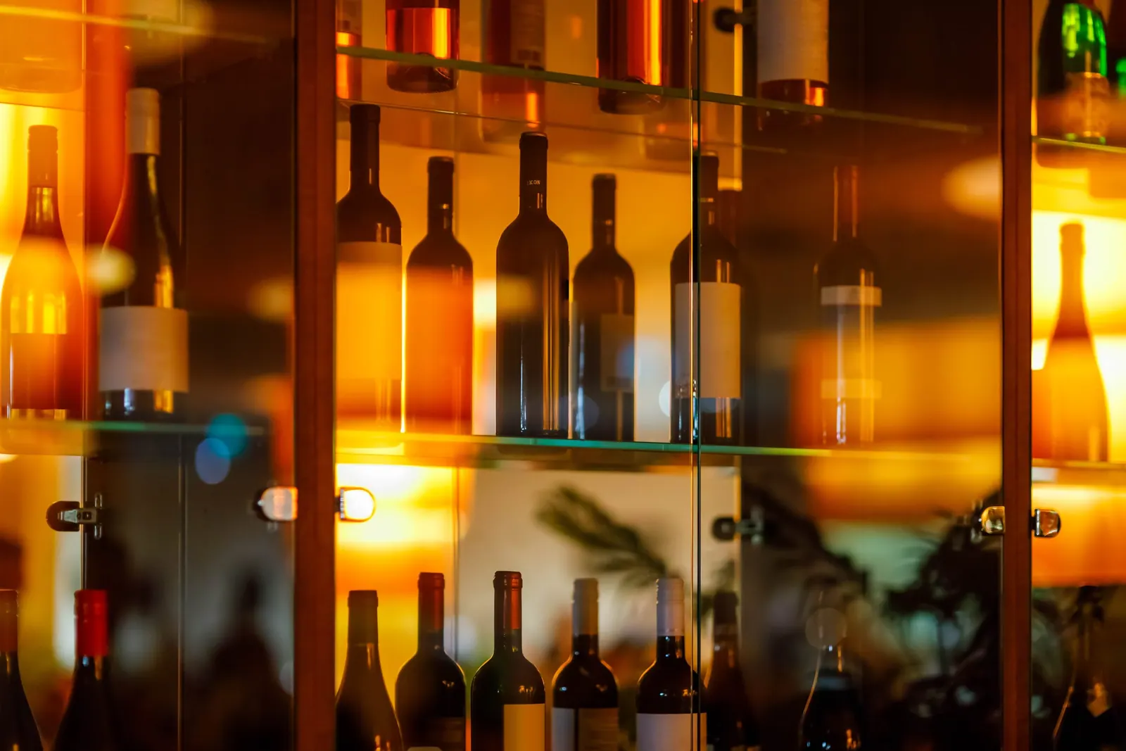 Wine cabinet with glass shelves and door and reflections. red and white wines
